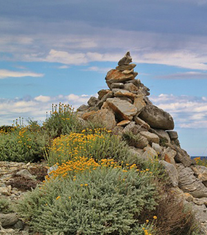 免费ddos攻击网页端